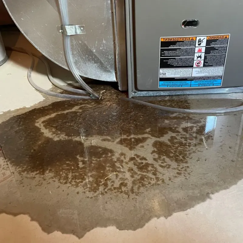 Pipe Burst and Leak Restoration in West Stockbridge, MA